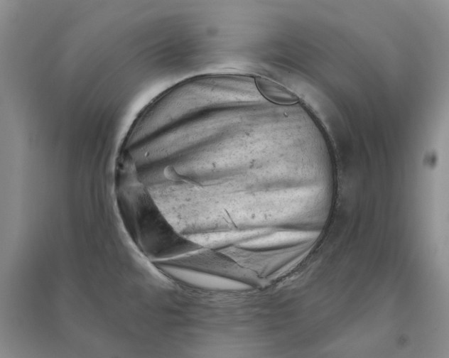 X0000090891480200708171655