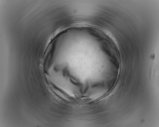 X0000090891481200708171655