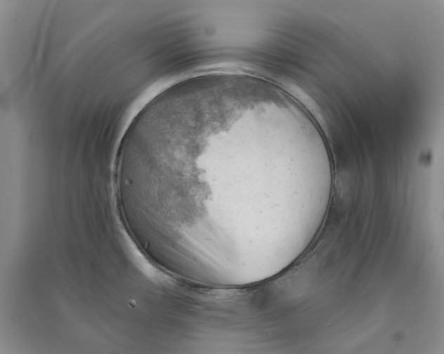 X0000090891482200708171655