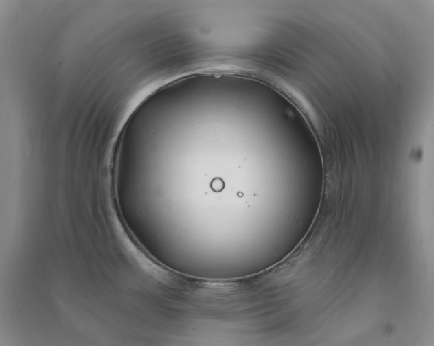 X0000090891483200708171655