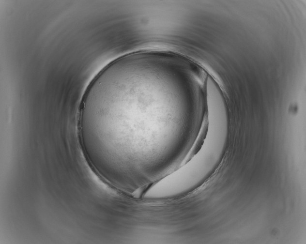 X0000090891484200708171655