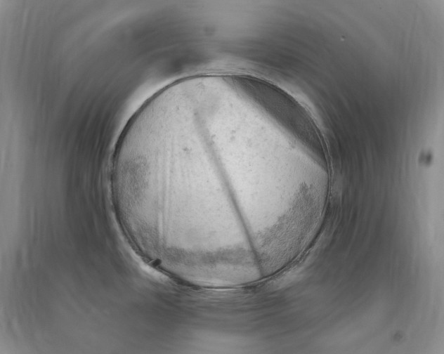 X0000090891486200708171655