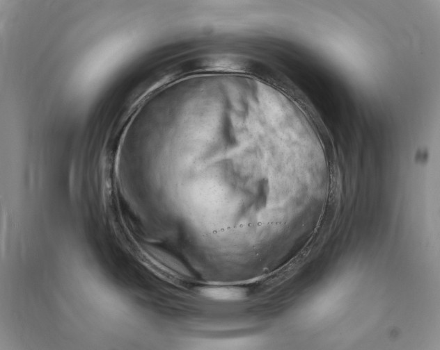 X0000090891487200708171655