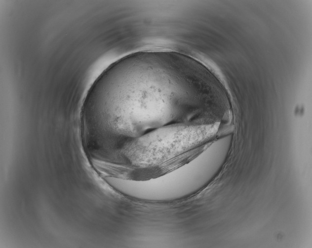 X0000090891488200708171655