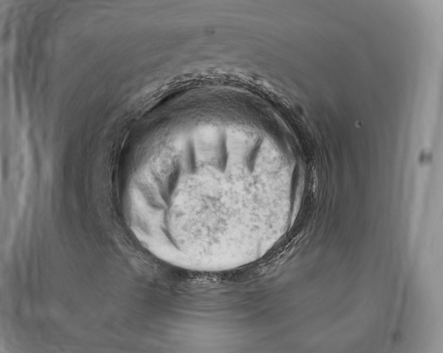 X0000090891489200708171655