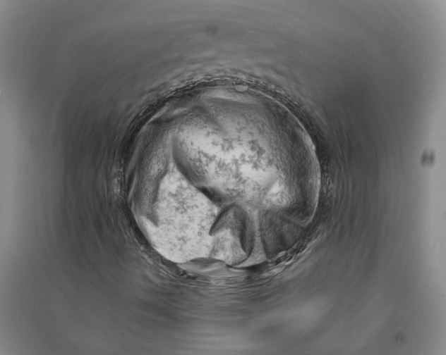 X0000090891490200708171655