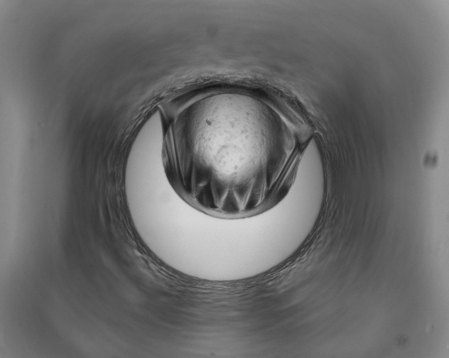 X0000090891492200708171655