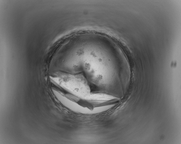 X0000090891494200708171655