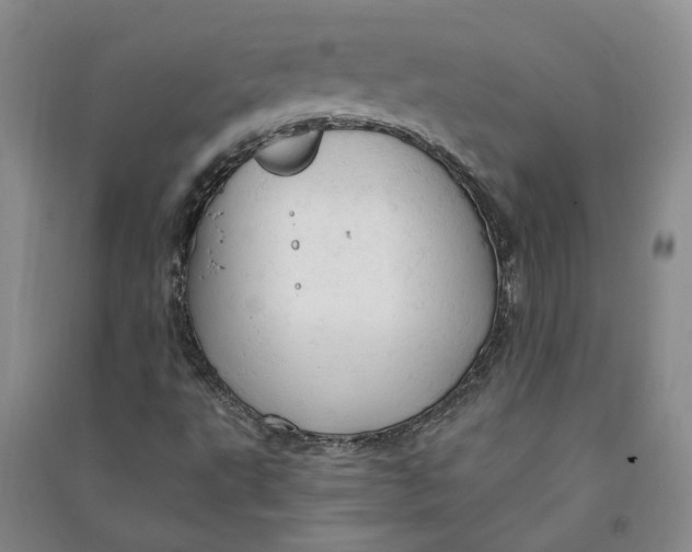 X0000090891495200708171655