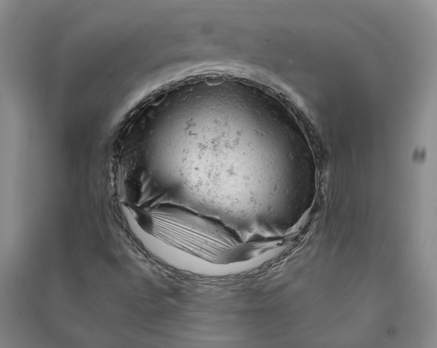 X0000090891496200708171655