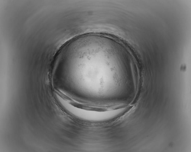 X0000090891497200708171655