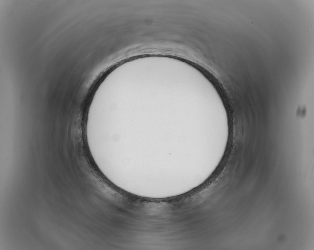 X0000090891498200708171655