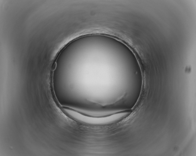 X0000090891500200708171655