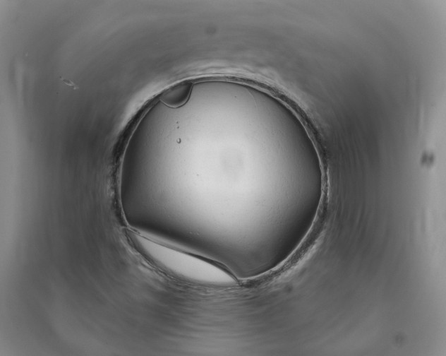 X0000090891501200708171655