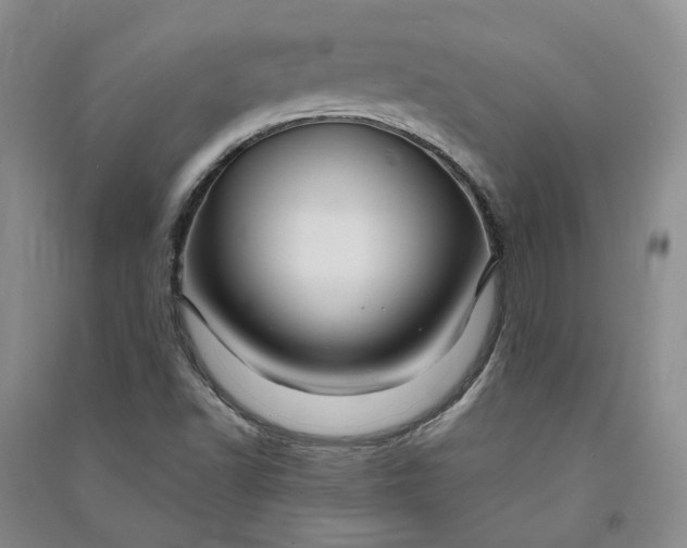 X0000090891502200708171655