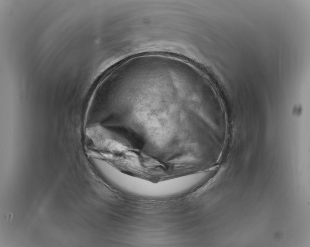 X0000090891505200708171655