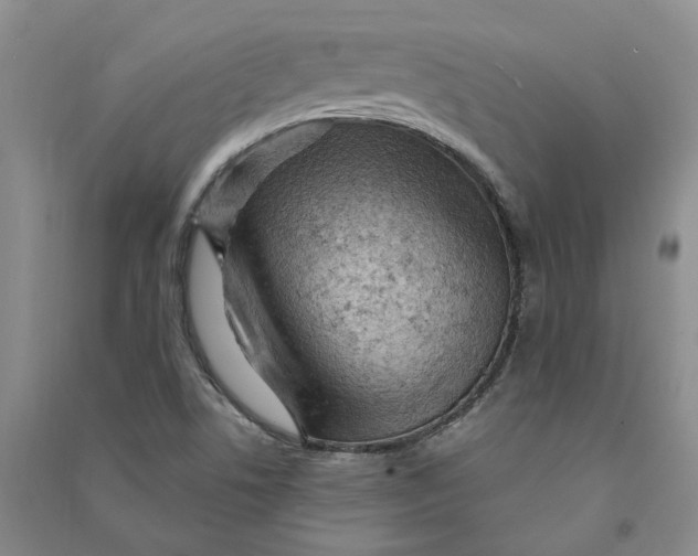 X0000090891506200708171655