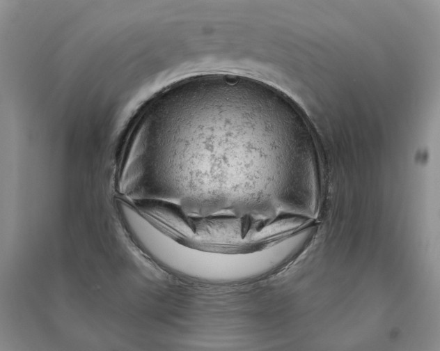 X0000090891507200708171655