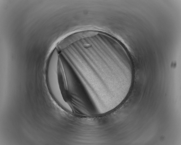 X0000090891508200708171655