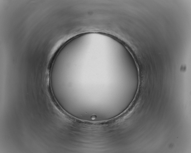 X0000090891509200708171655