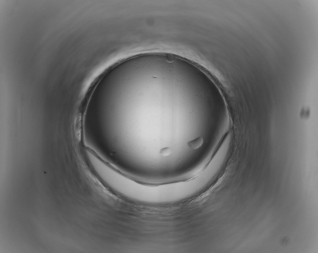 X0000090891510200708171655