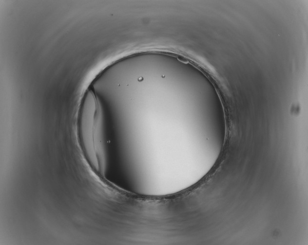 X0000090891512200708171655