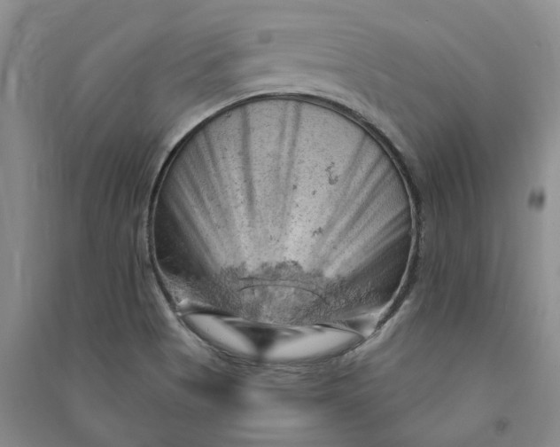 X0000090891513200708171655