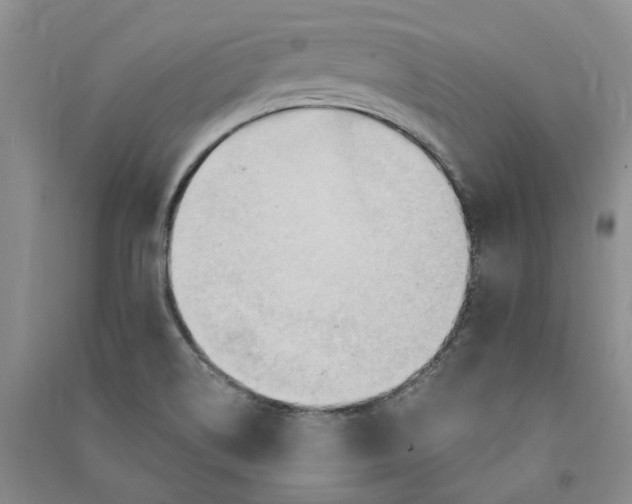 X0000090891514200708171655