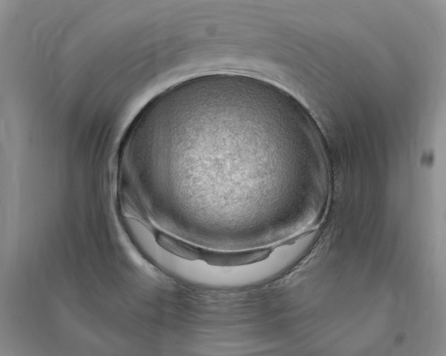 X0000090891515200708171655