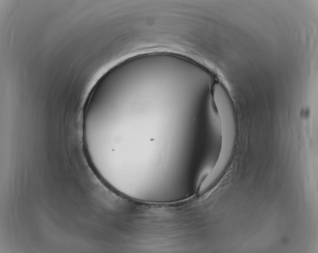 X0000090891516200708171655