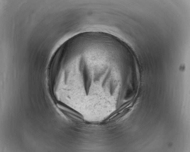 X0000090891517200708171655