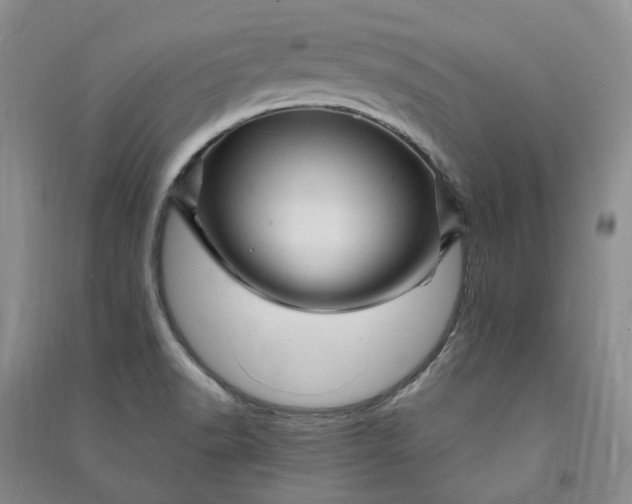 X0000090891518200708171655