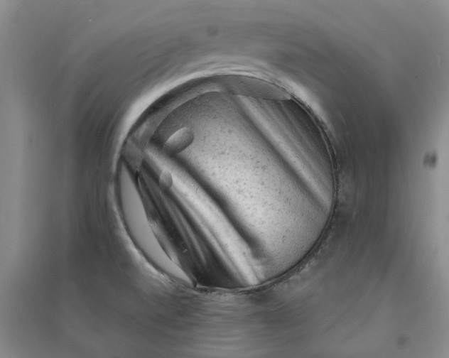 X0000090891520200708171655