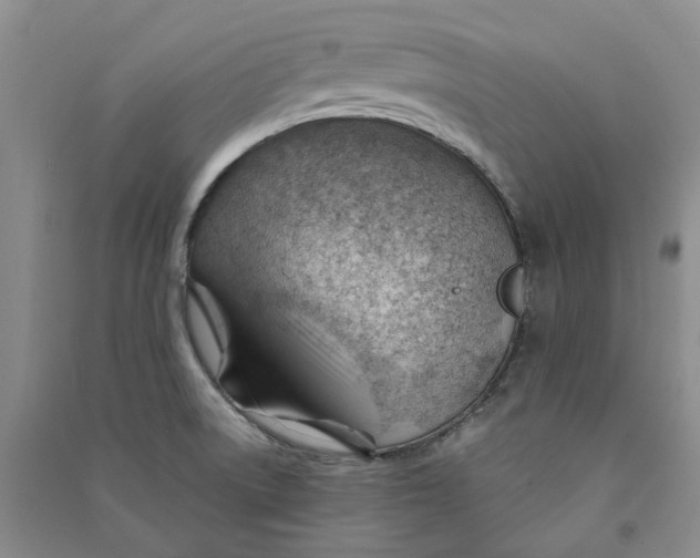 X0000090891522200708171655