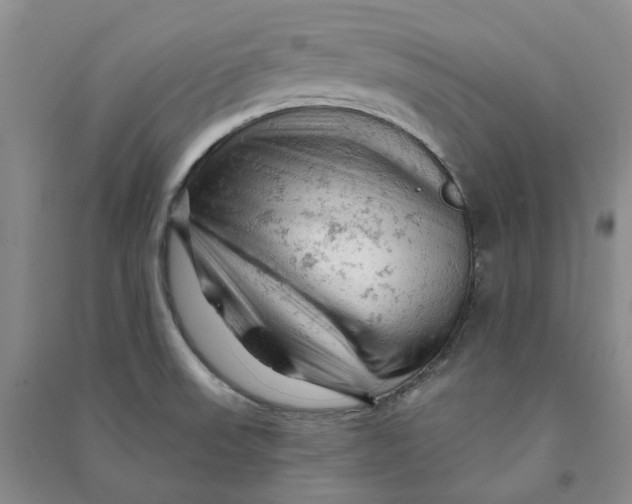 X0000090891523200708171655