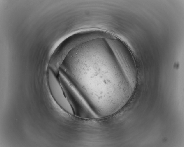 X0000090891524200708171655