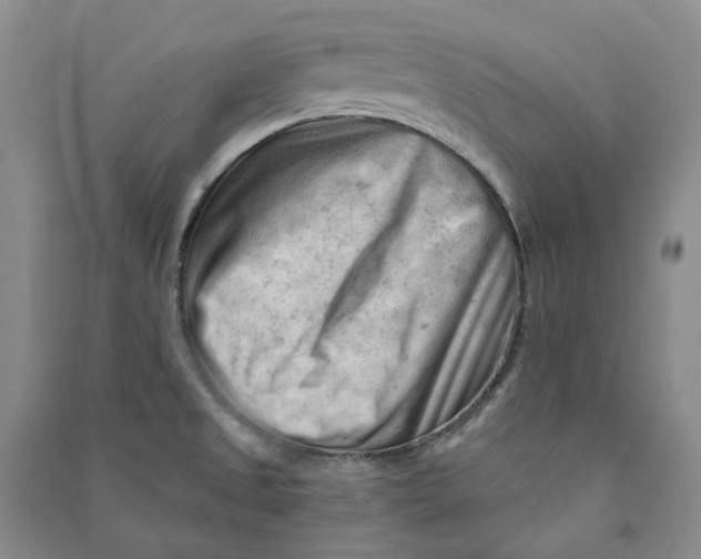 X0000090891525200708171655