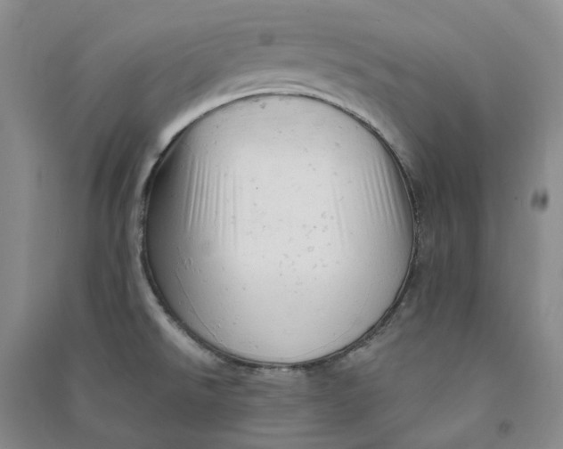 X0000090891526200708171655