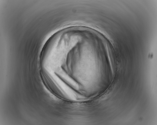 X0000090891527200708171655