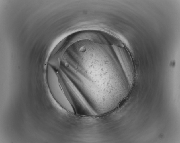 X0000090891528200708171655