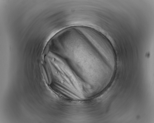 X0000090891529200708171655