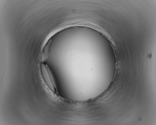 X0000090891530200708171655