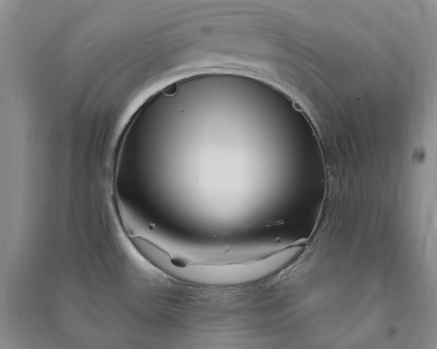 X0000090891531200708171655