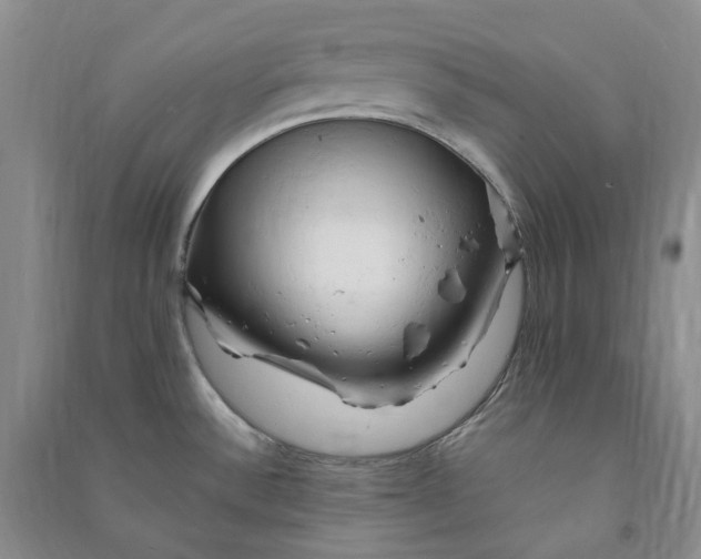 X0000090891532200708171655