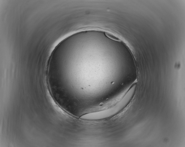 X0000090891534200708171655