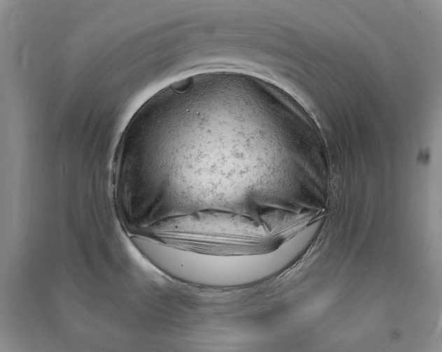 X0000090891535200708171655