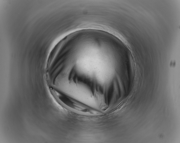 X0000090891536200708171655