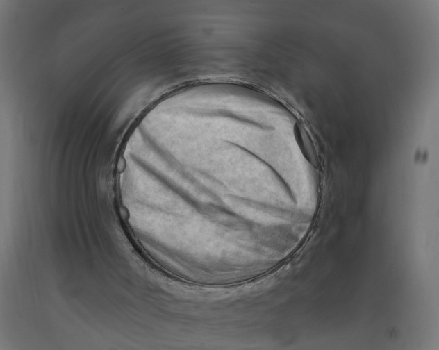 X0000090890002200708242011