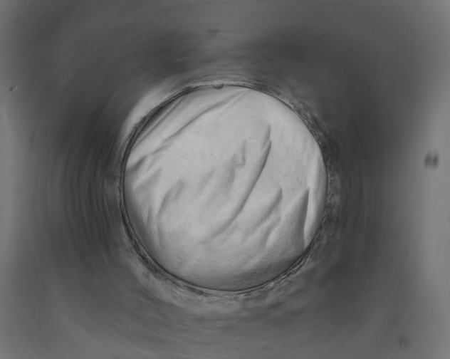 X0000090890004200708242011