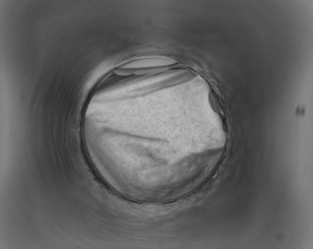 X0000090890006200708242011